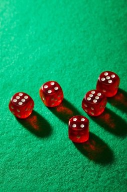 Bonus feature activation showing free spins with multiplier display